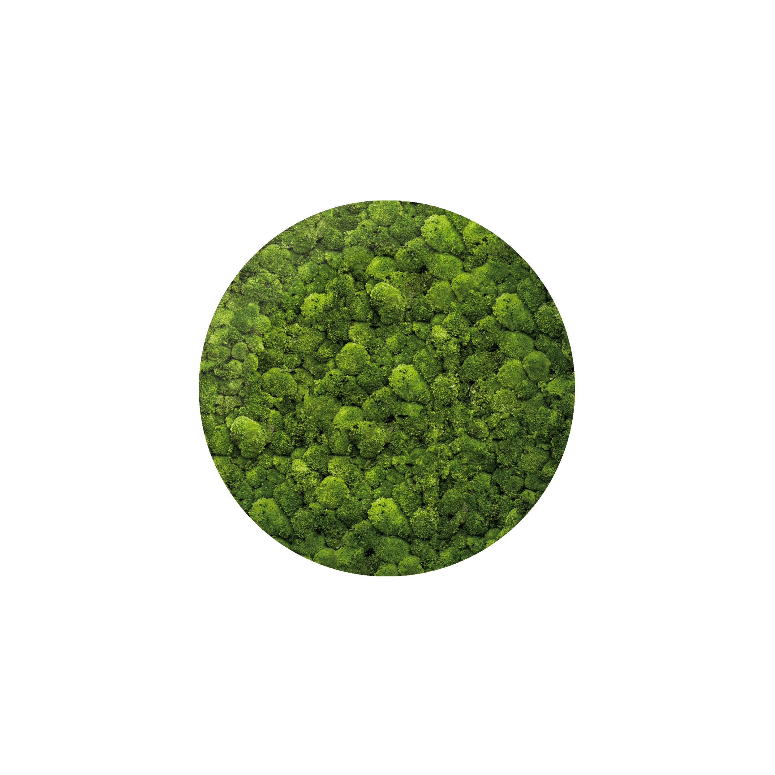 Display product Moosbild Round ø 120 cm from manufacturer art aqua