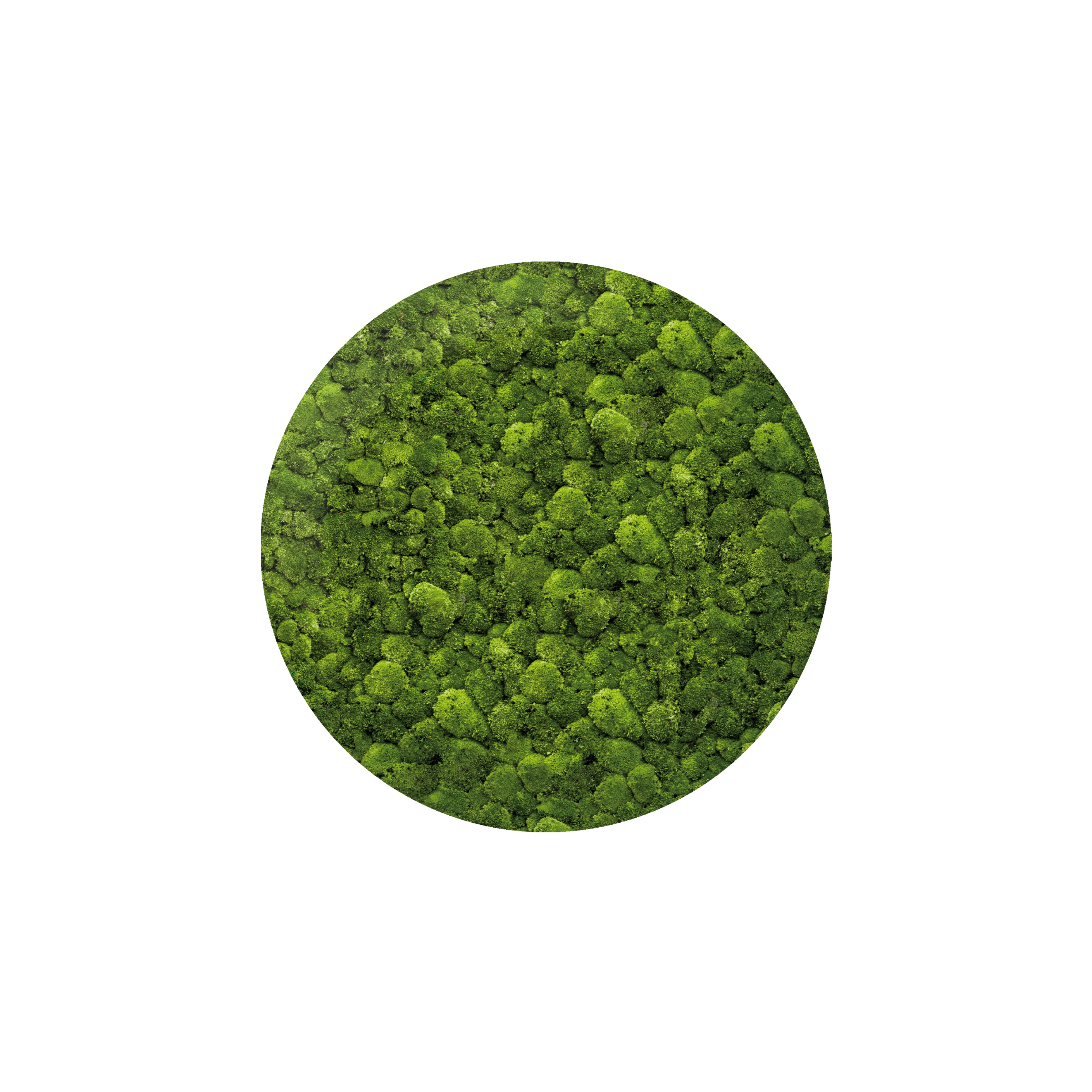 Display product Moosbild Round ø 140 cm from manufacturer art aqua