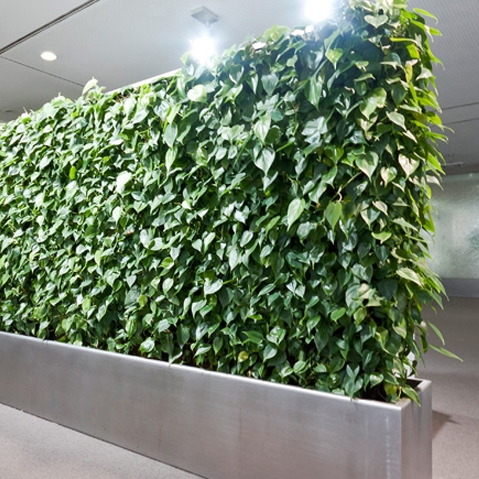 Display product Project - Grüne Wand® from manufacturer art aqua
