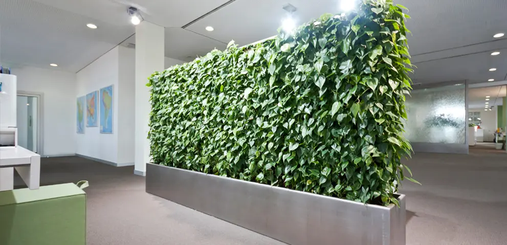 art aqua - Project - Grüne Wand®