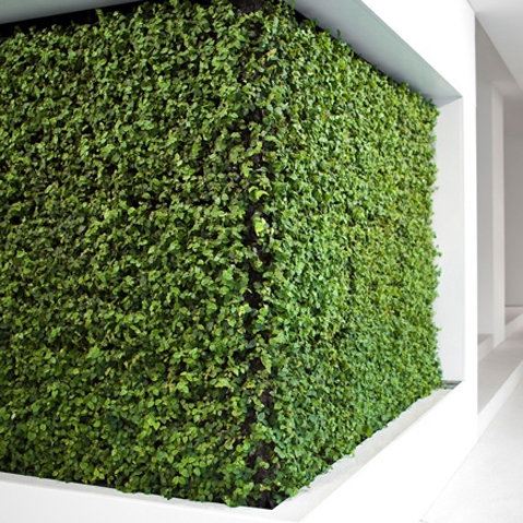 Display product Project - Grüne Wand® from manufacturer art aqua