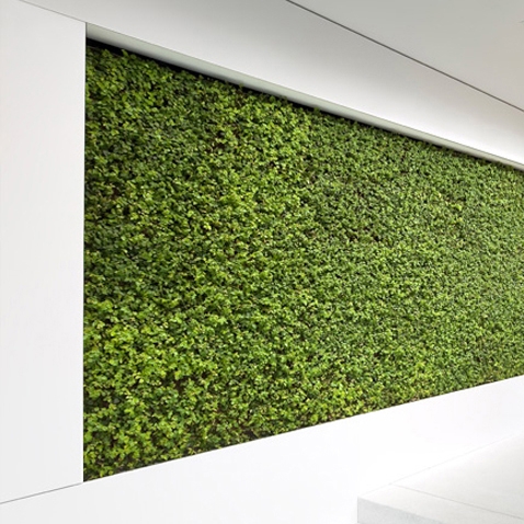 Display product Project - Grüne Wand® from manufacturer art aqua