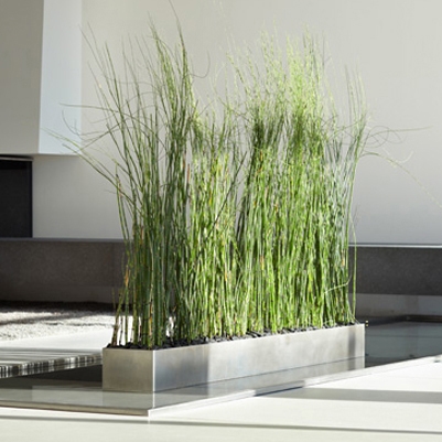 Display product Project - Grüne Wand® & Wasserwand from manufacturer art aqua