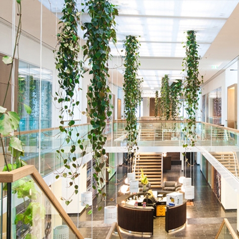 Display product Project - Grüne Wand® & Wasserwand from manufacturer art aqua