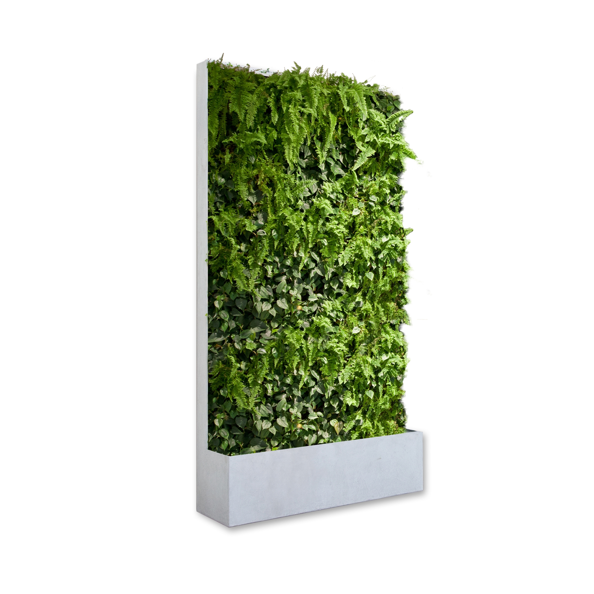 Display product Grüne Wand® Pocket Edition 124 from manufacturer art aqua