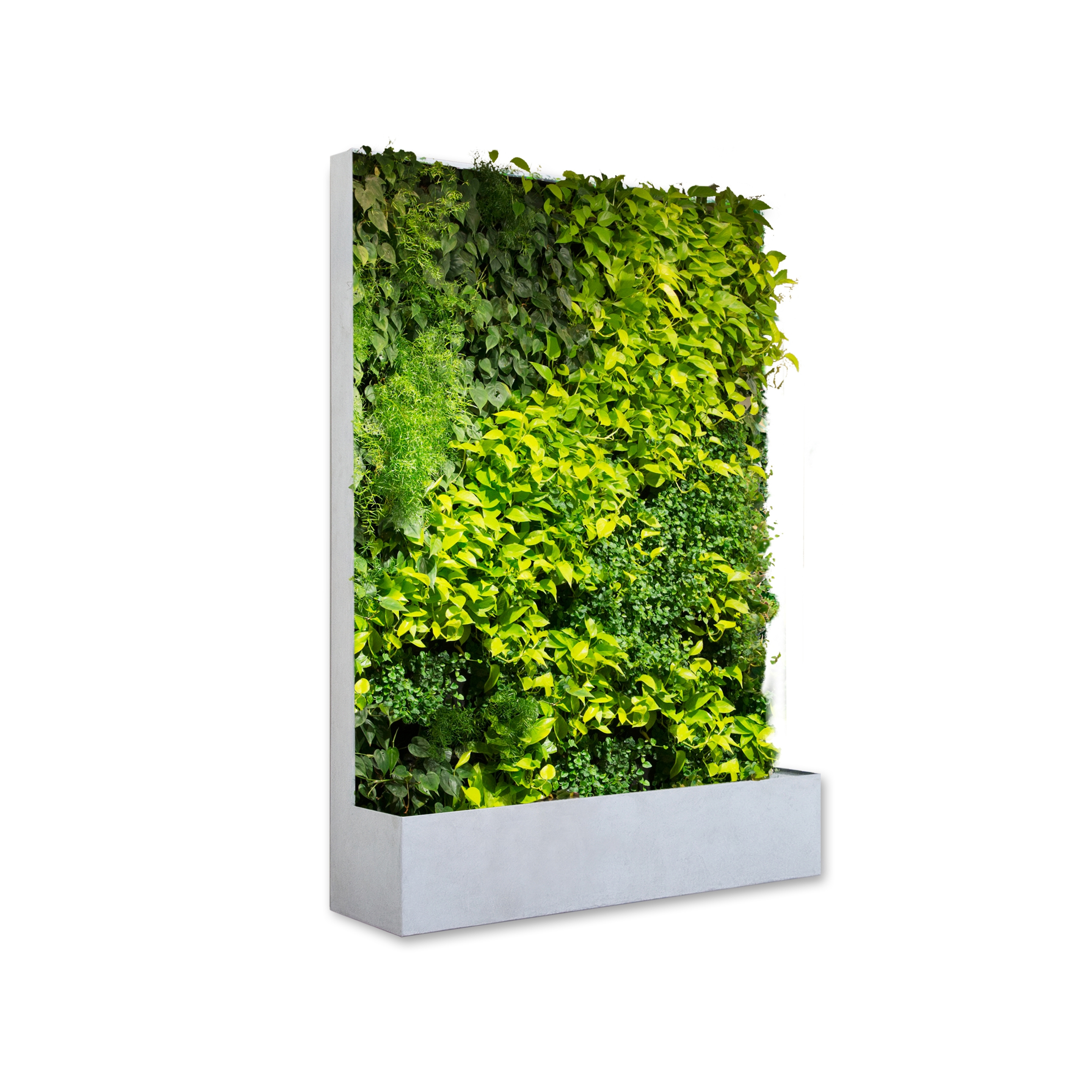 Display product Grüne Wand® Pocket Edition 164 from manufacturer art aqua