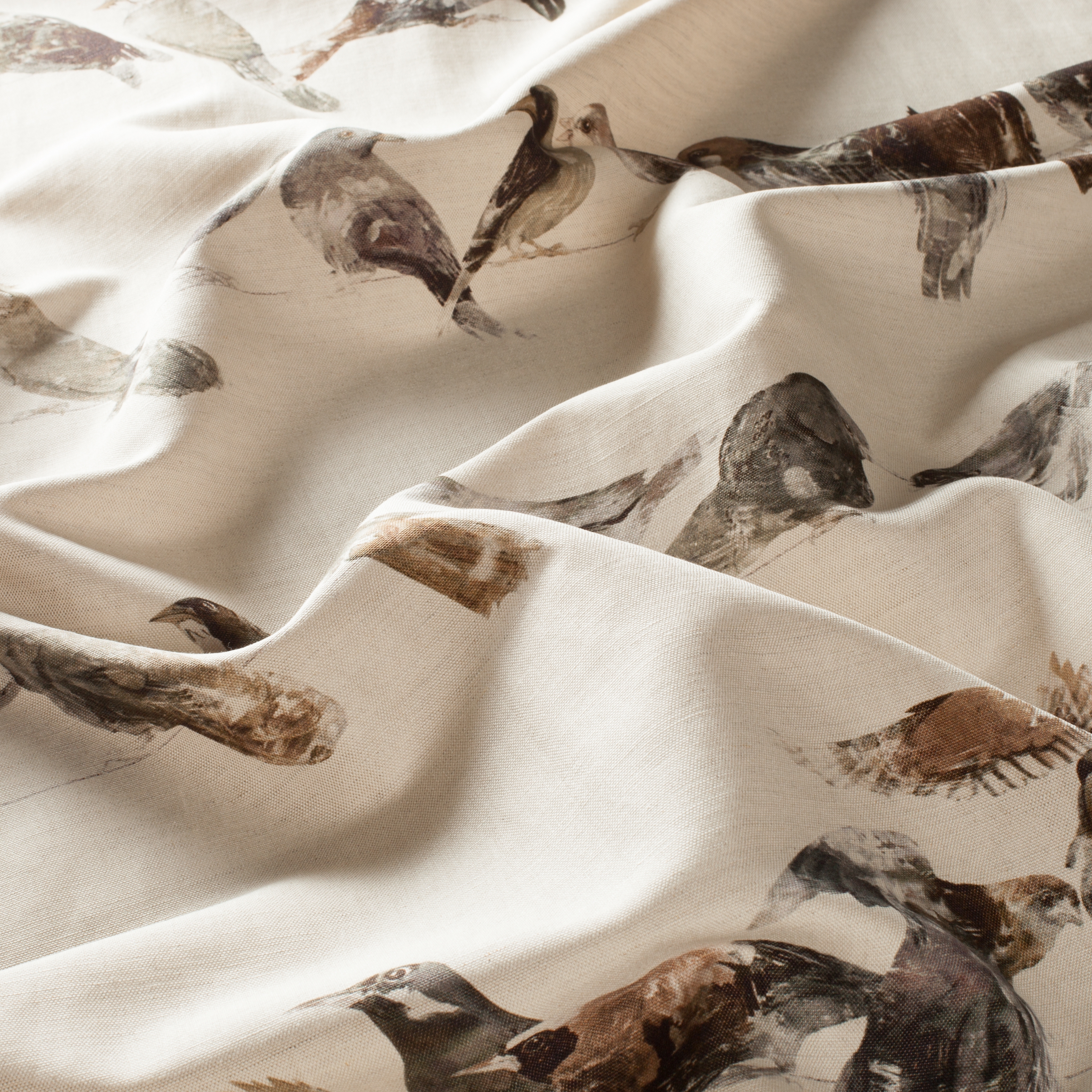 Afficher le produit BIRDSONG CH2718/020 du fabricant Chivasso