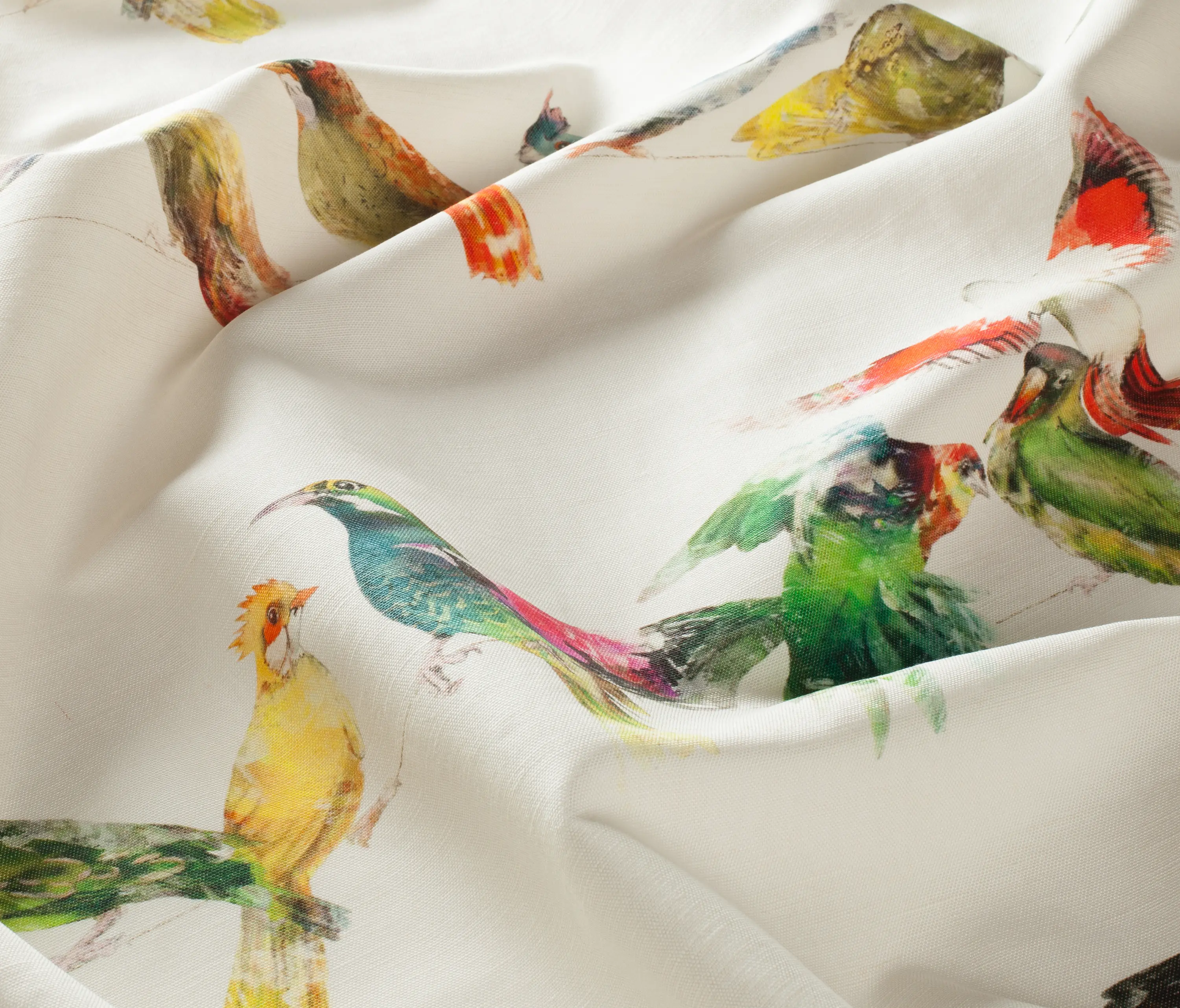 Chivasso - BIRDSONG CH2718/030