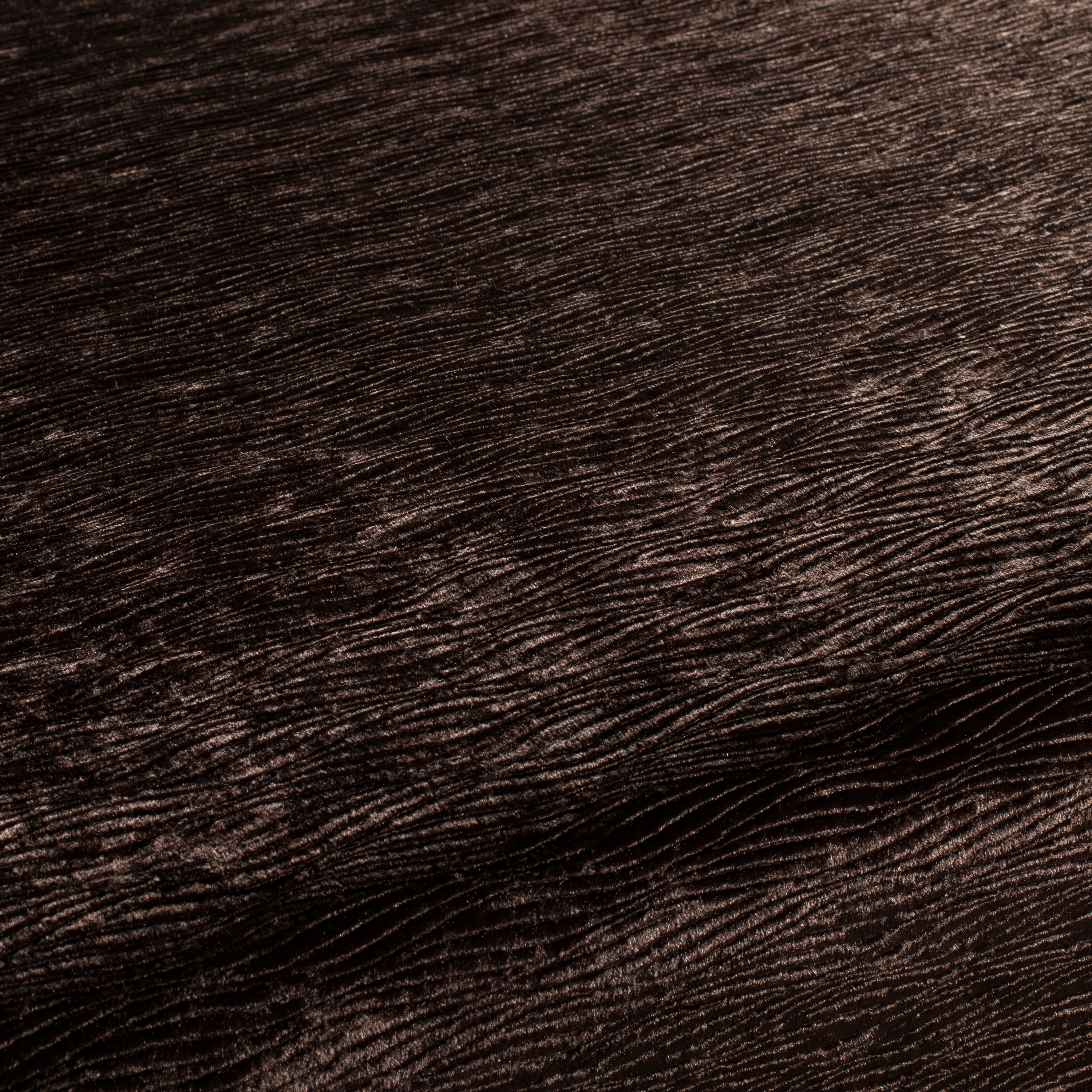 BEYOND CA1168/021