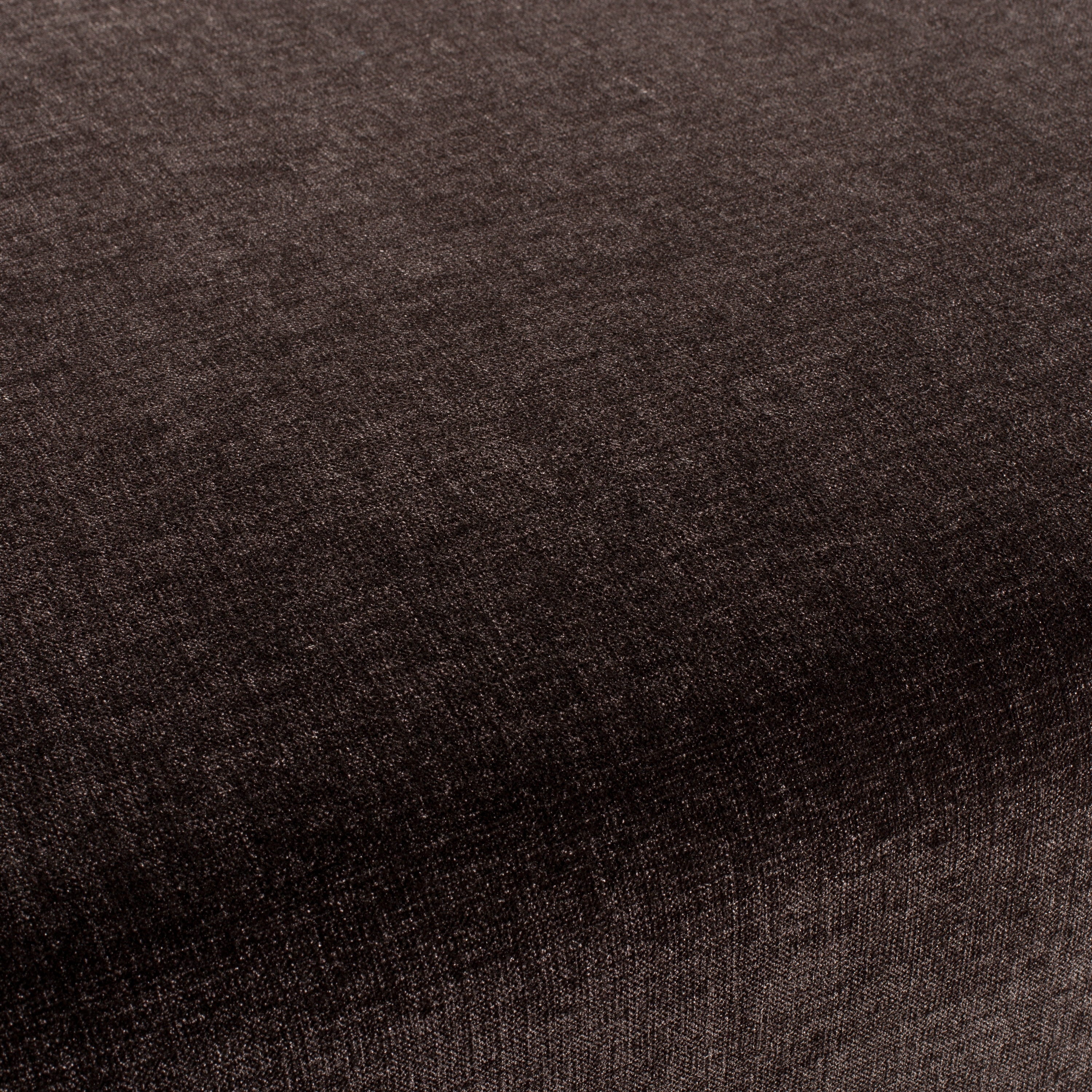 CHAMELEON CH2585/021