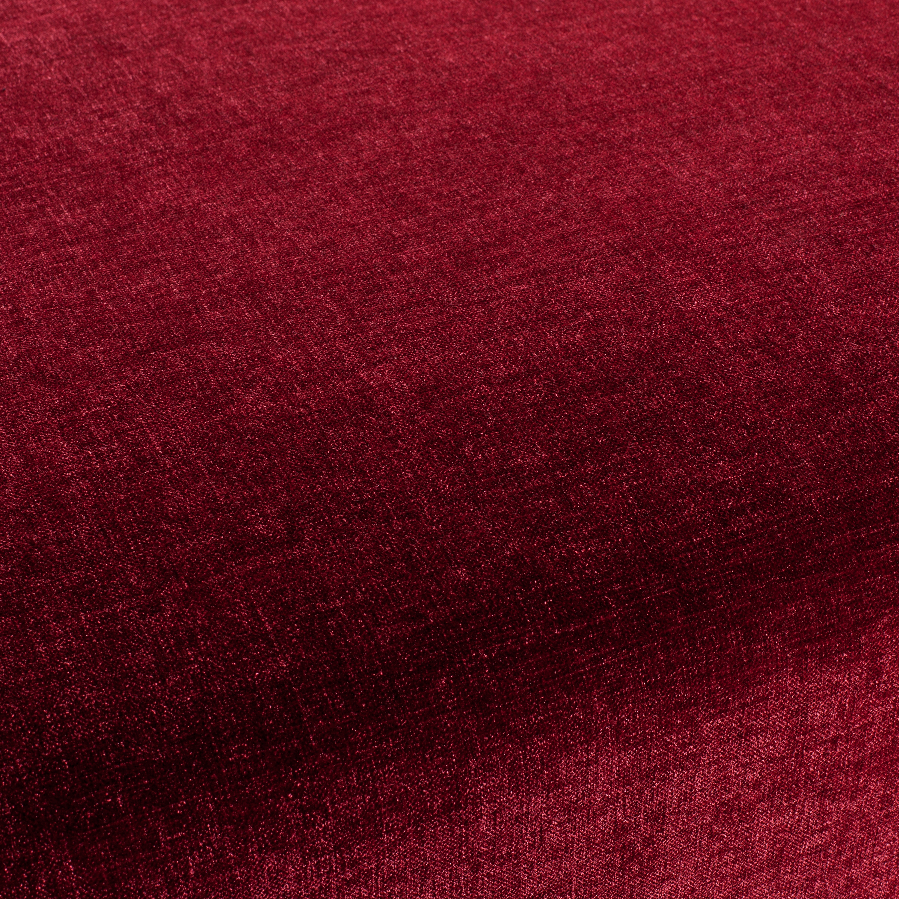 CHAMELEON CH2585/013