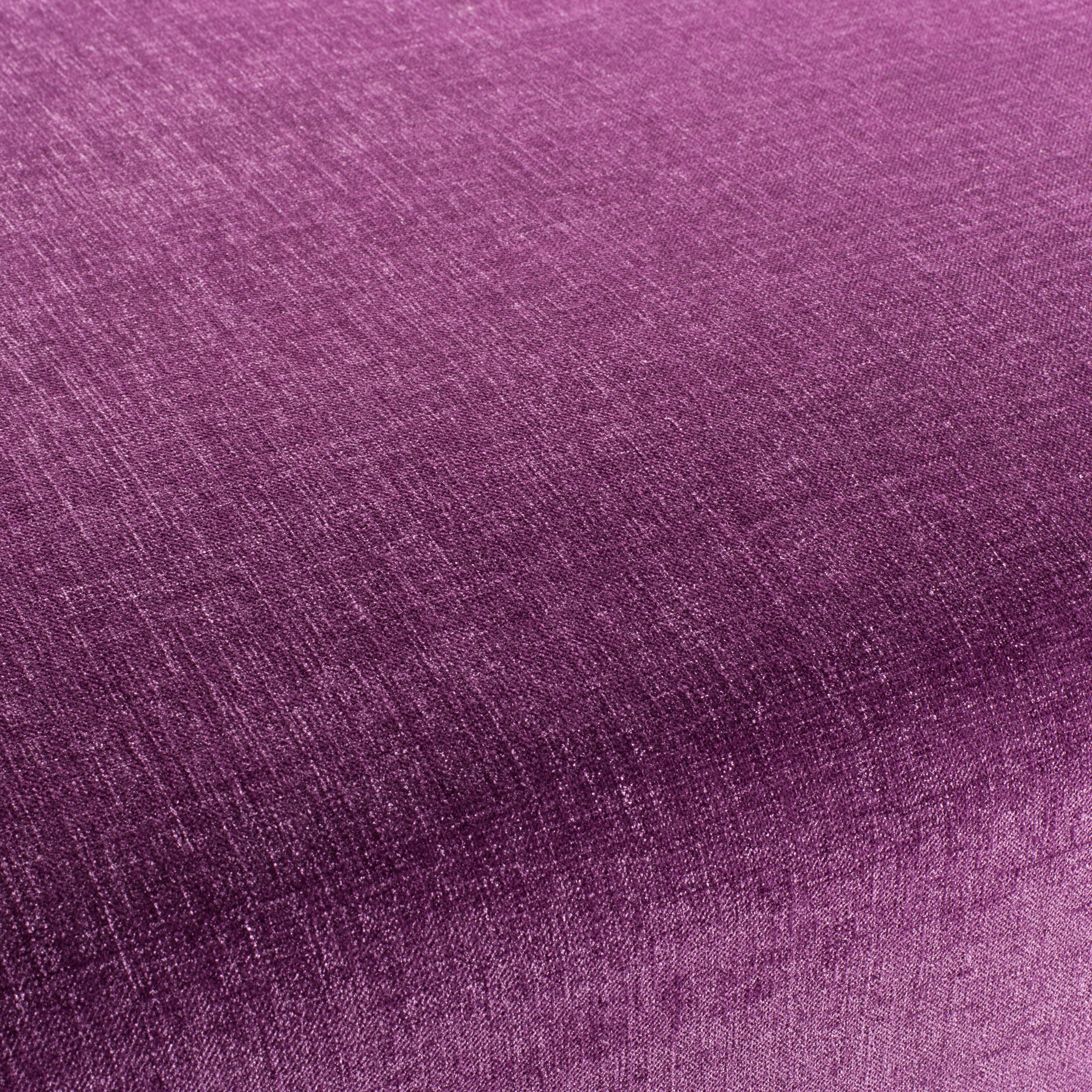 CHAMELEON CH2585/061