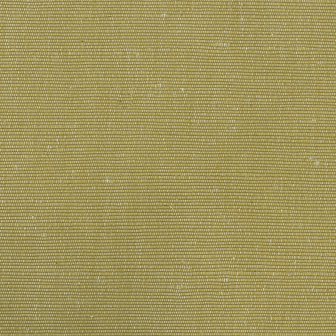 Display product Carlo - Oliva from manufacturer Rubelli