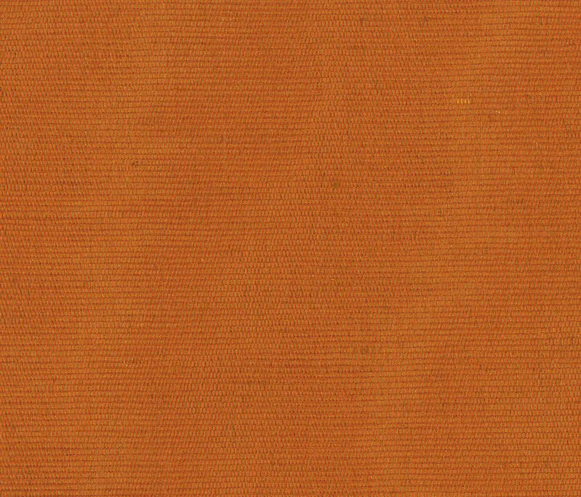 Rubelli - Carlo - Arancio