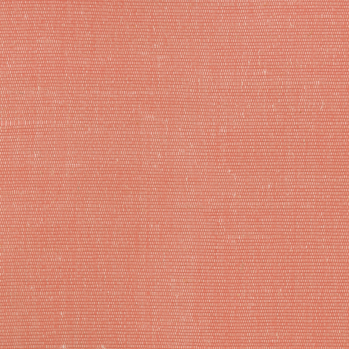 Display product Carlo - Rosa from manufacturer Rubelli