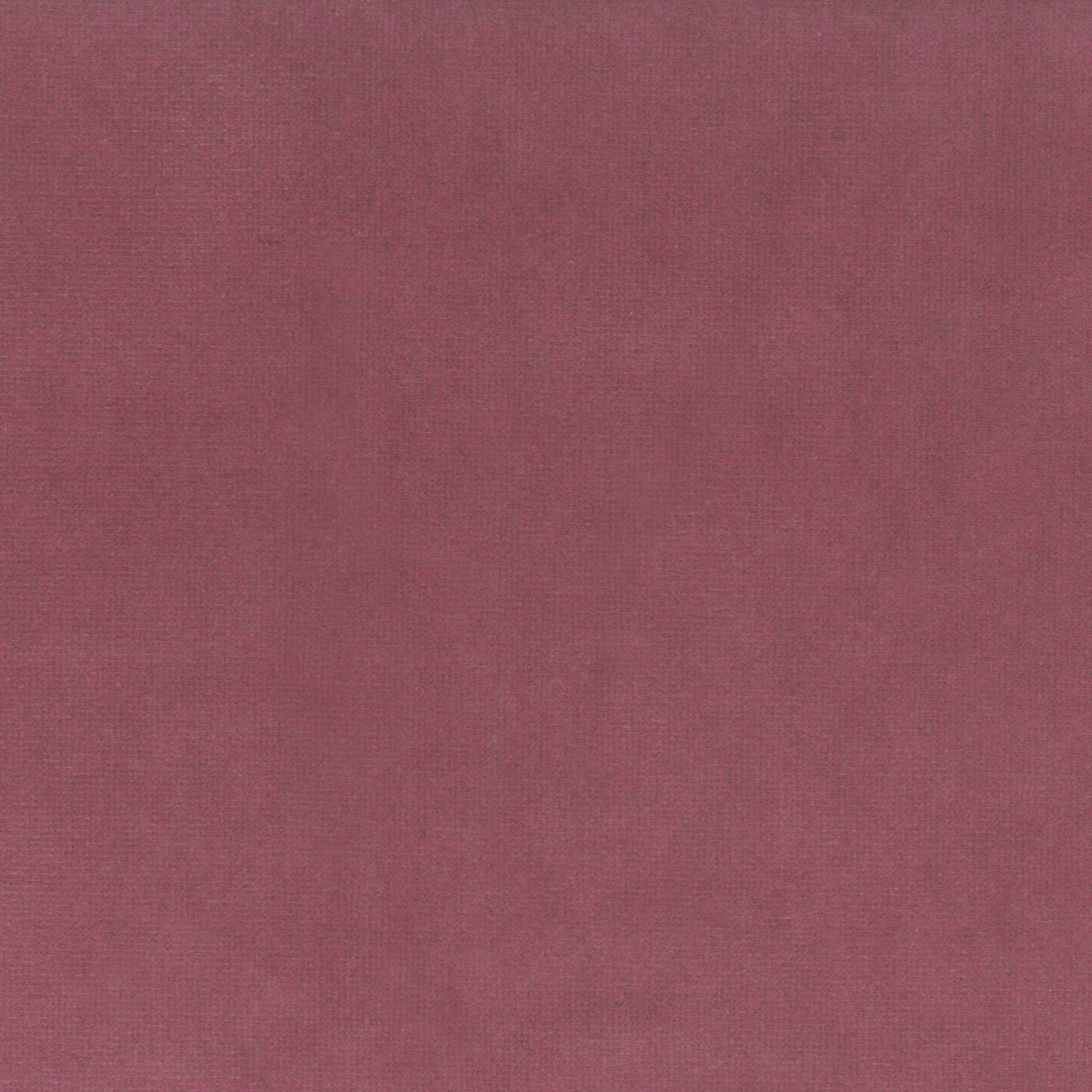 Mostrar el producto Spritz - Rosa del fabricante Rubelli