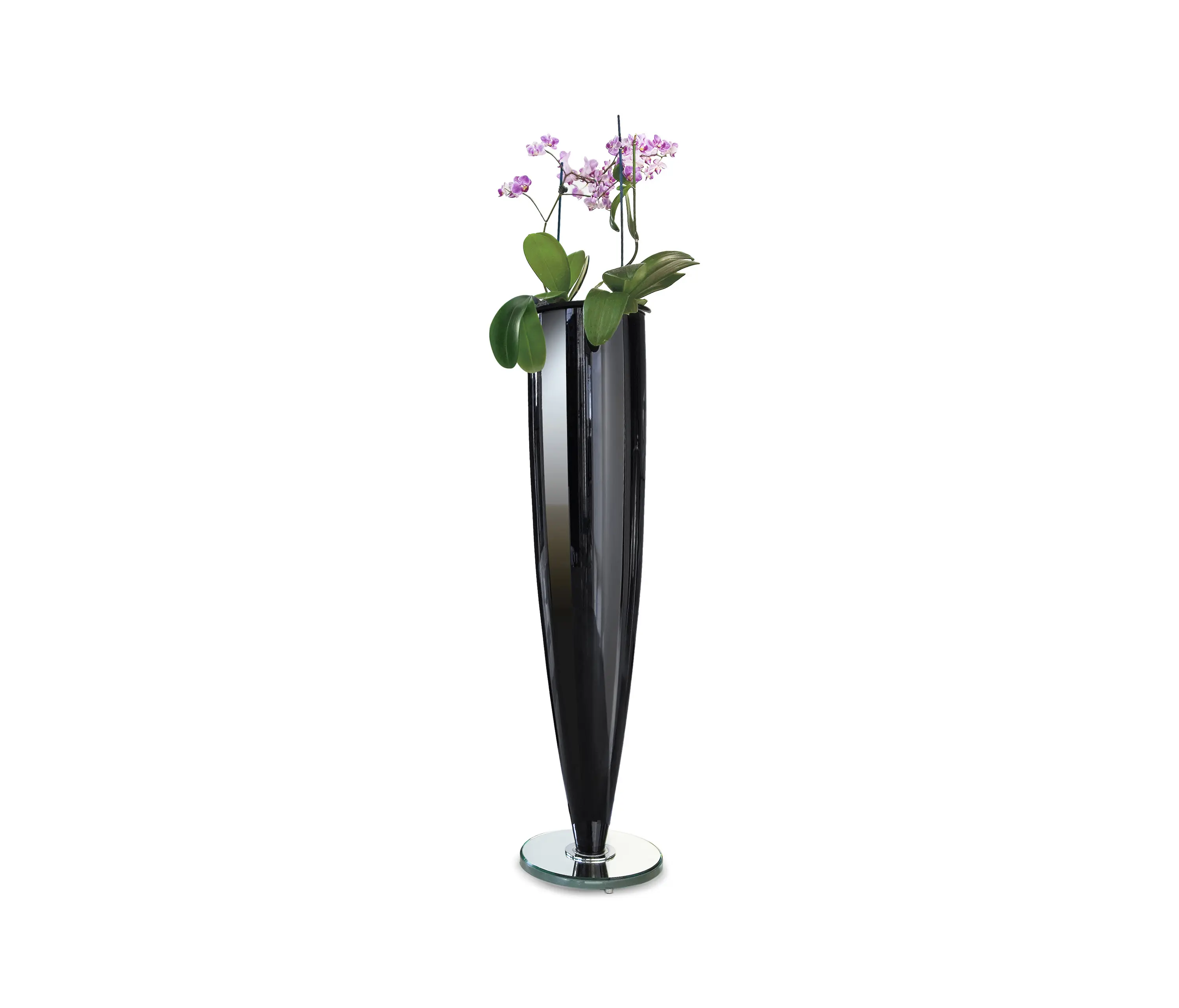 Reflex - Ming Vase