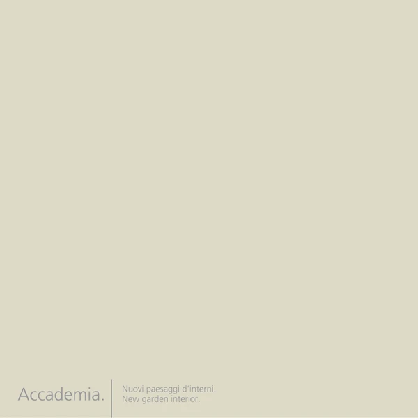 Preview image for the file Accademia
