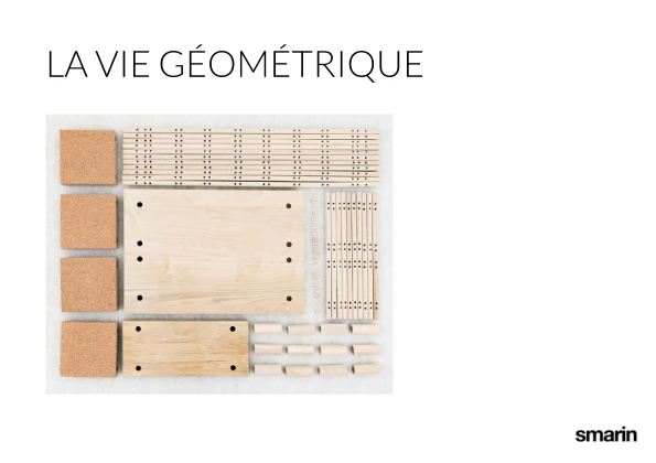 Preview image for the file La Vie Géométrique 