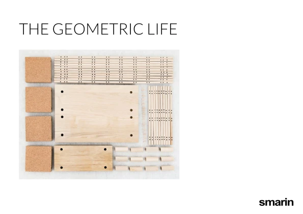 Preview image for the file The Geometric Life