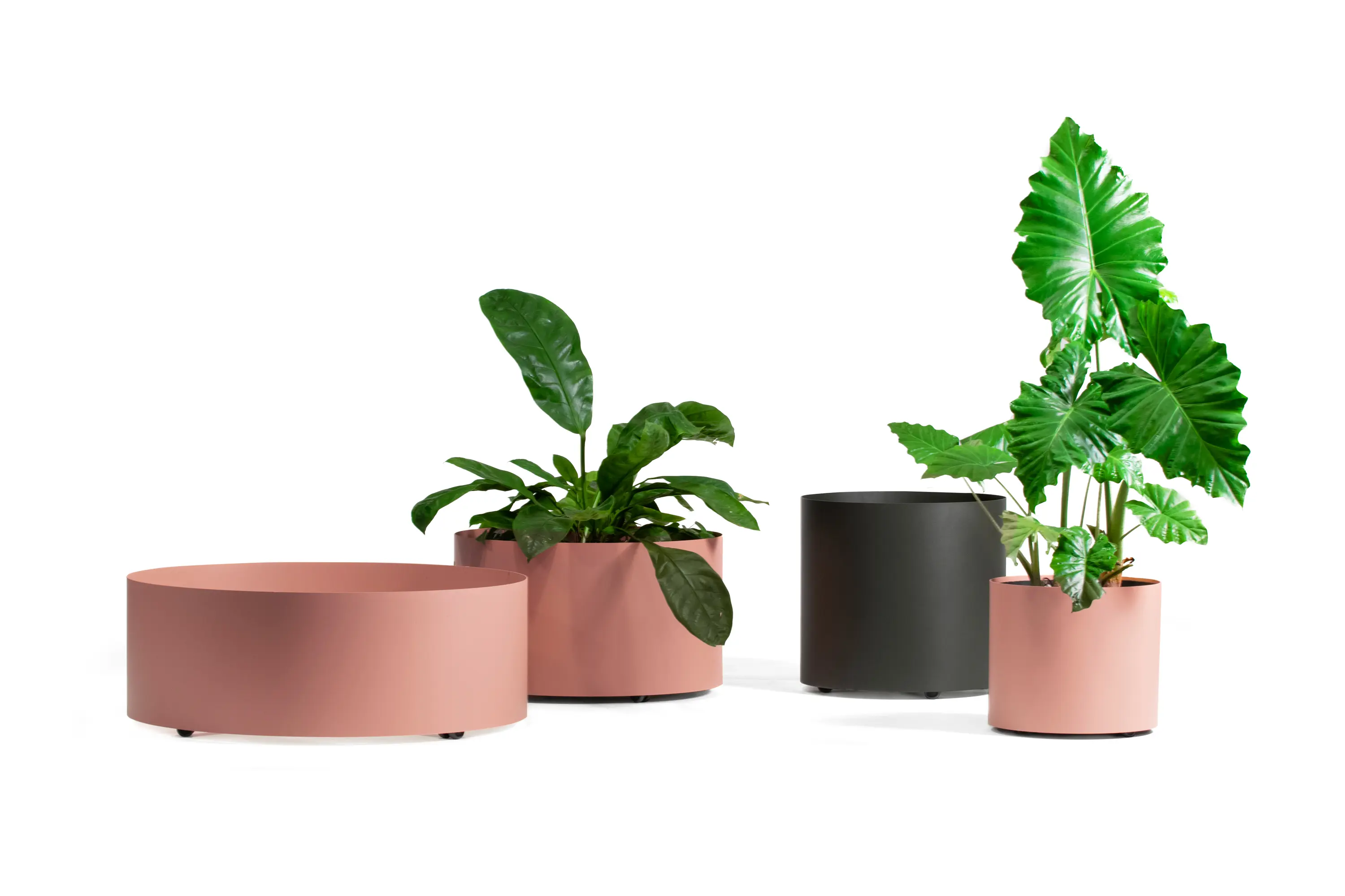 Johanson Design - Eden Square 30x80