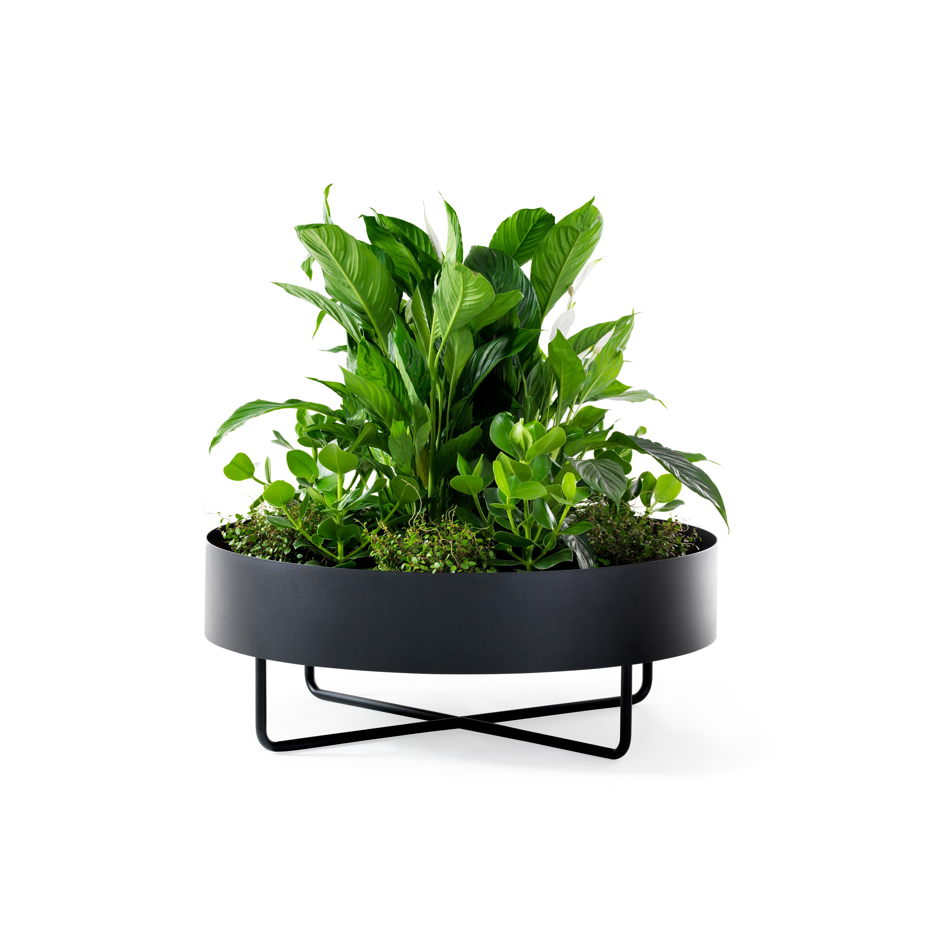 Display product Shima Garden Ø90 from manufacturer Johanson Design