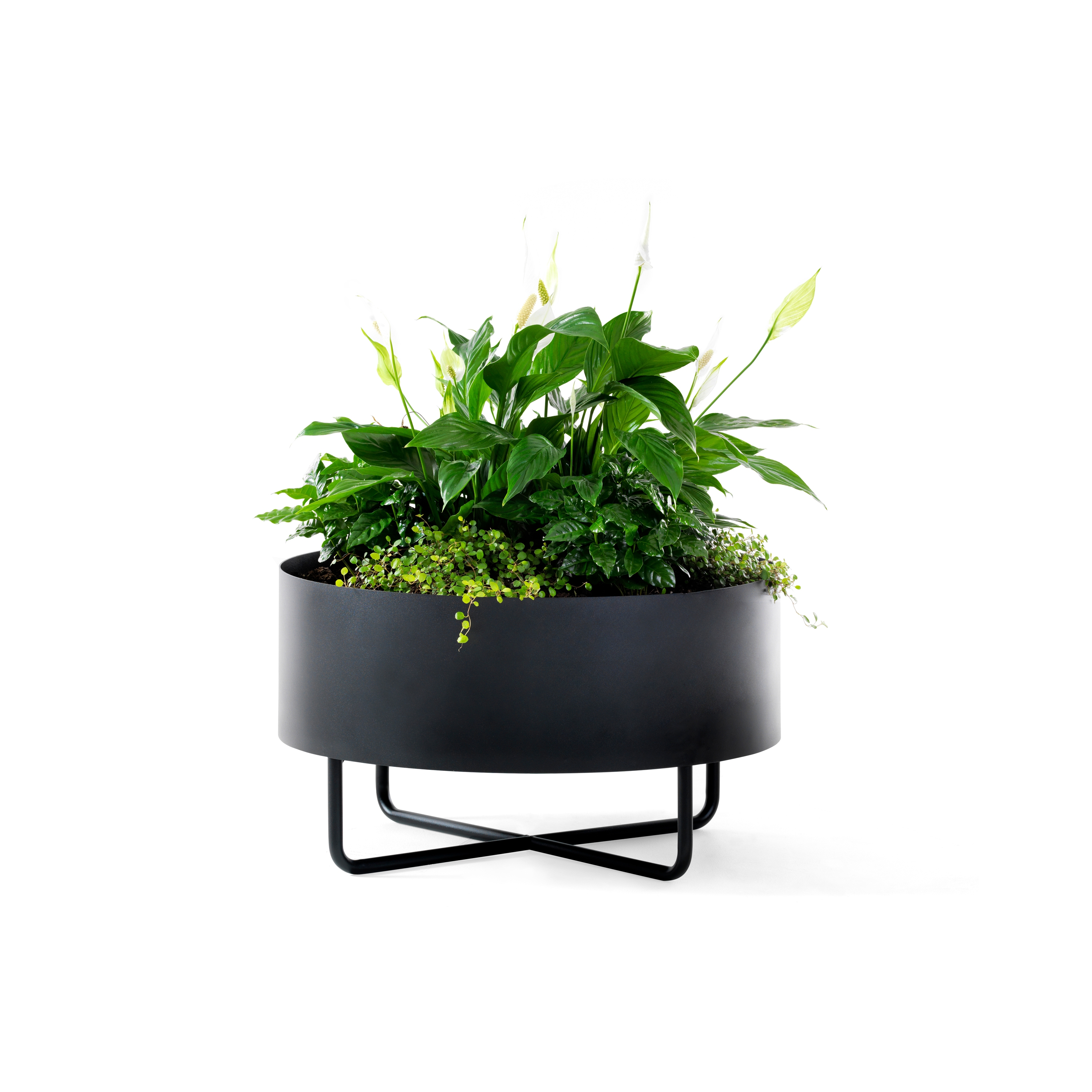 Display product Shima Garden Ø65 from manufacturer Johanson Design