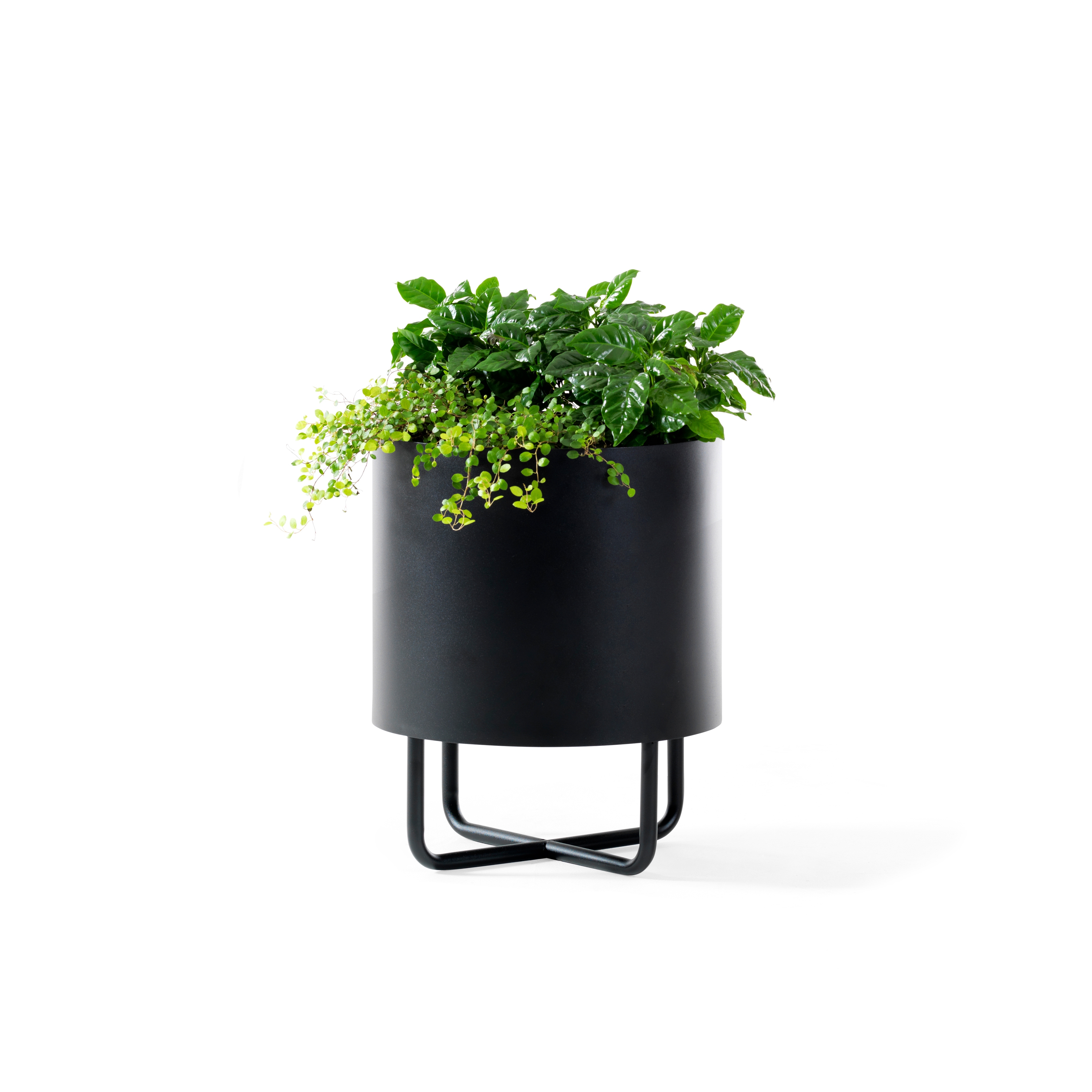 Display product Shima Garden Ø38 from manufacturer Johanson Design