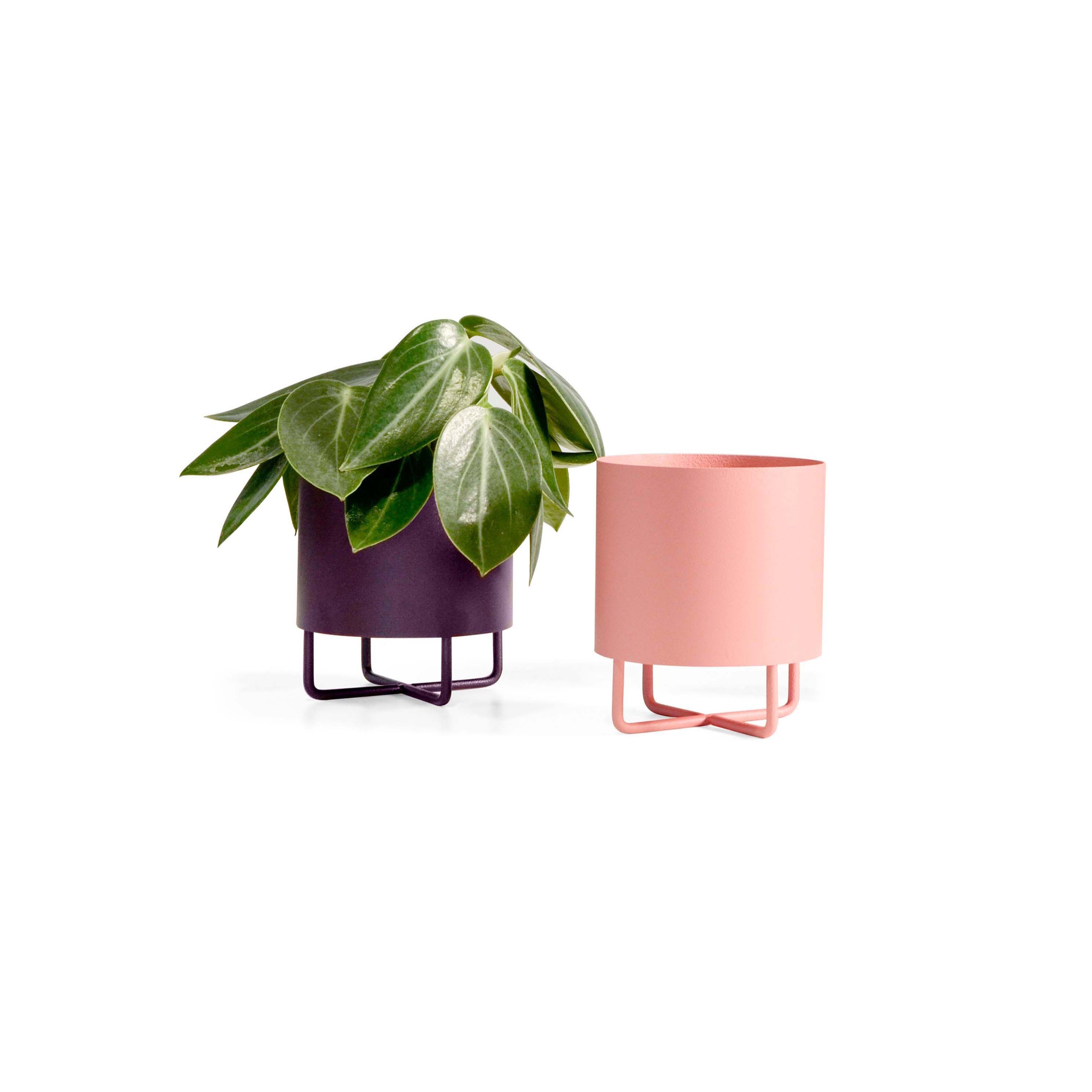 Display product Shima Garden Mini from manufacturer Johanson Design