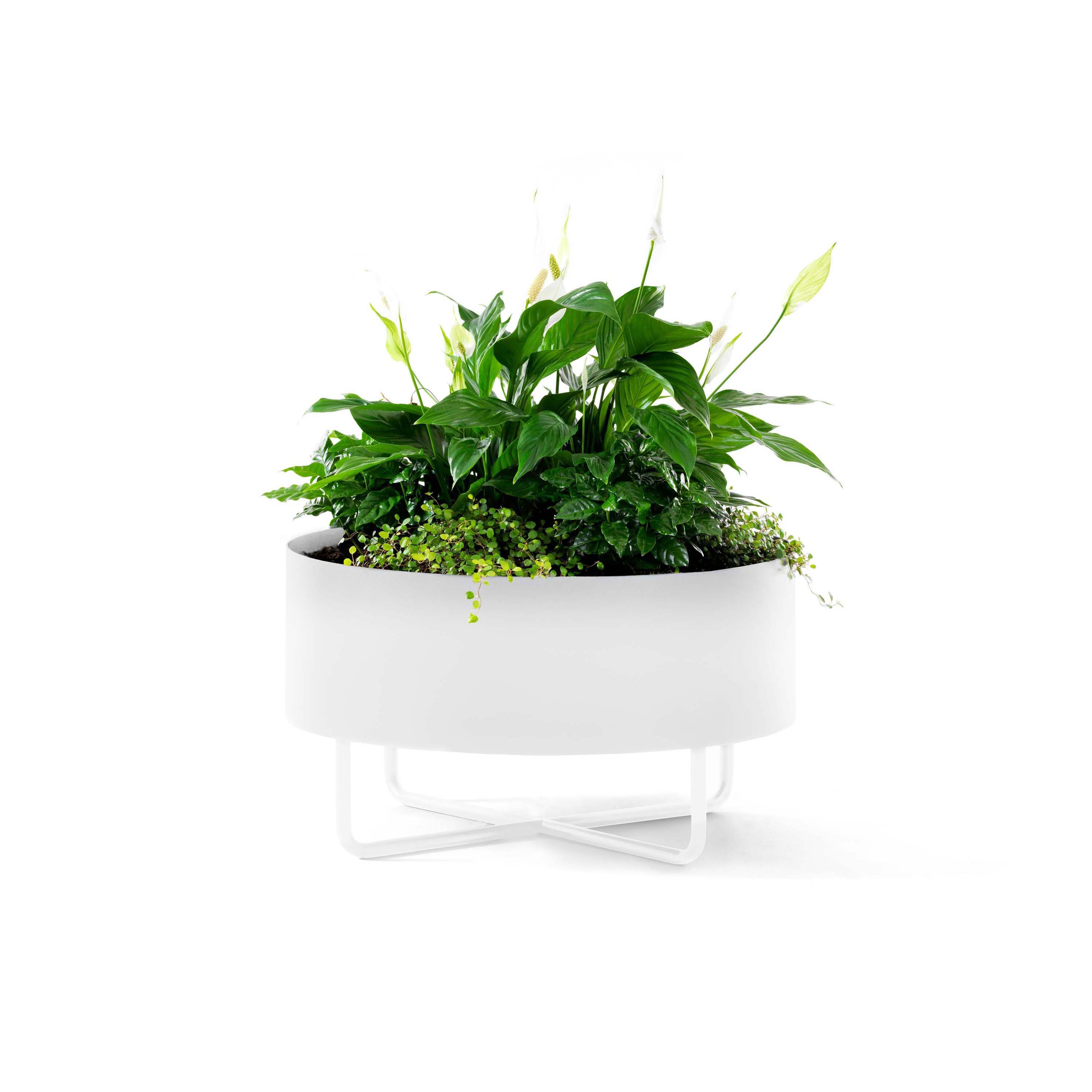 Shima Garden Ø65