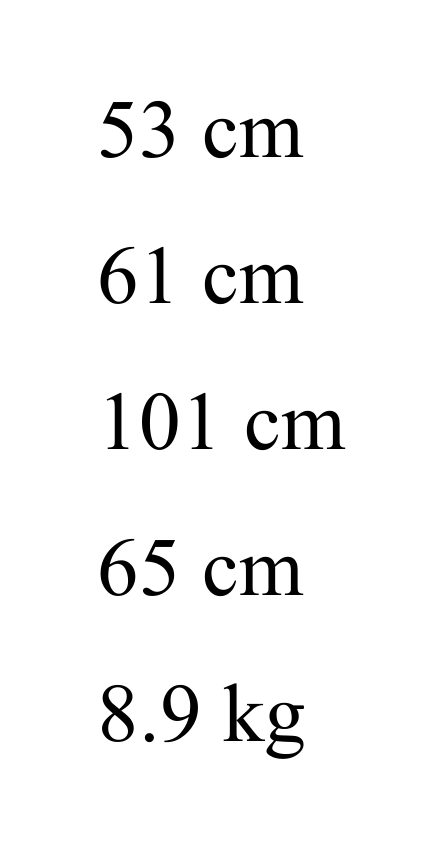 Thumbnail for image 10