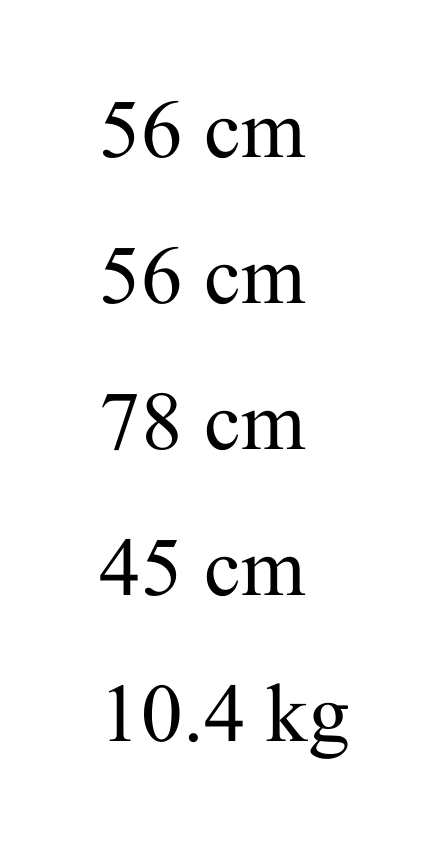 Thumbnail for image 11
