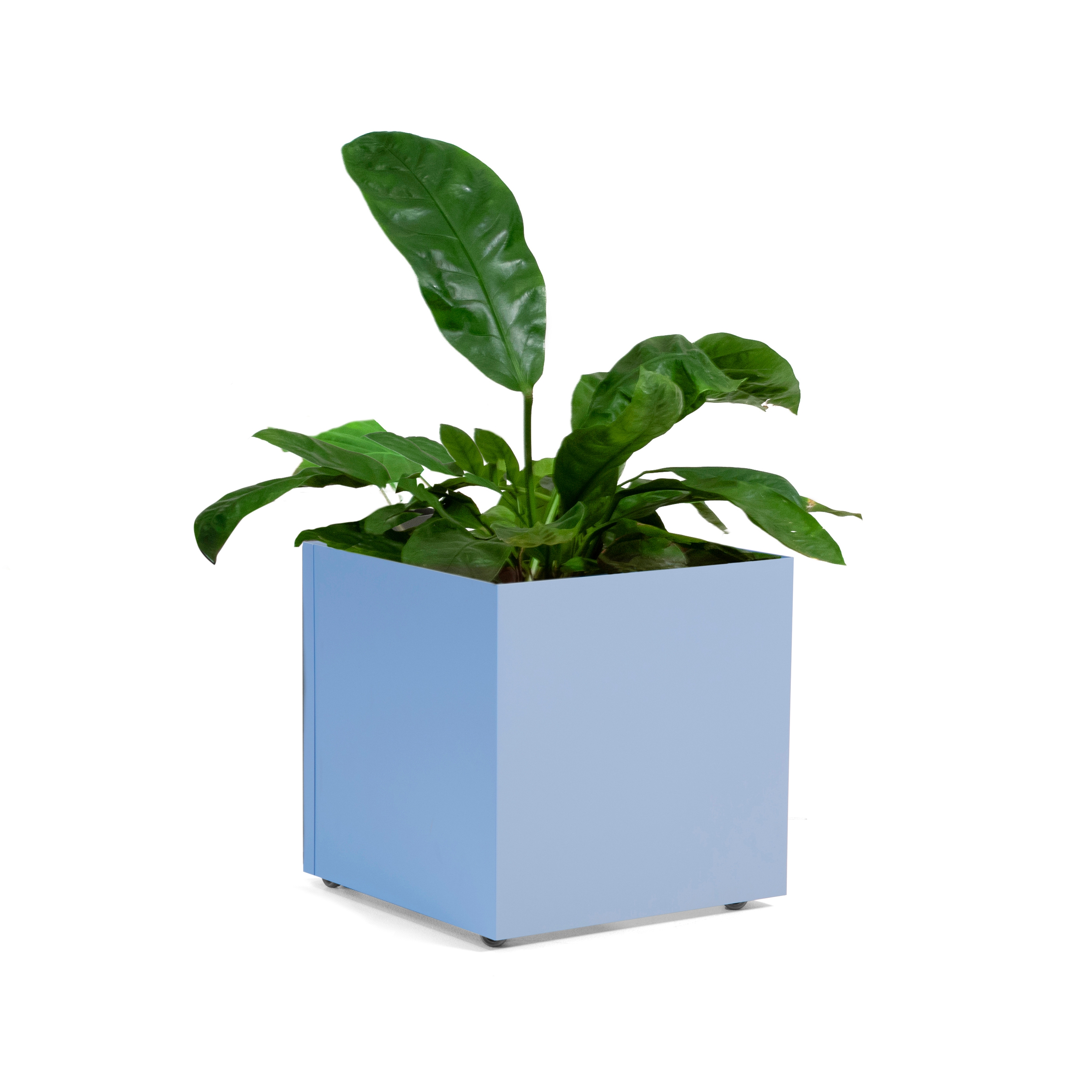 Display product Eden Square 50x50 from manufacturer Johanson Design