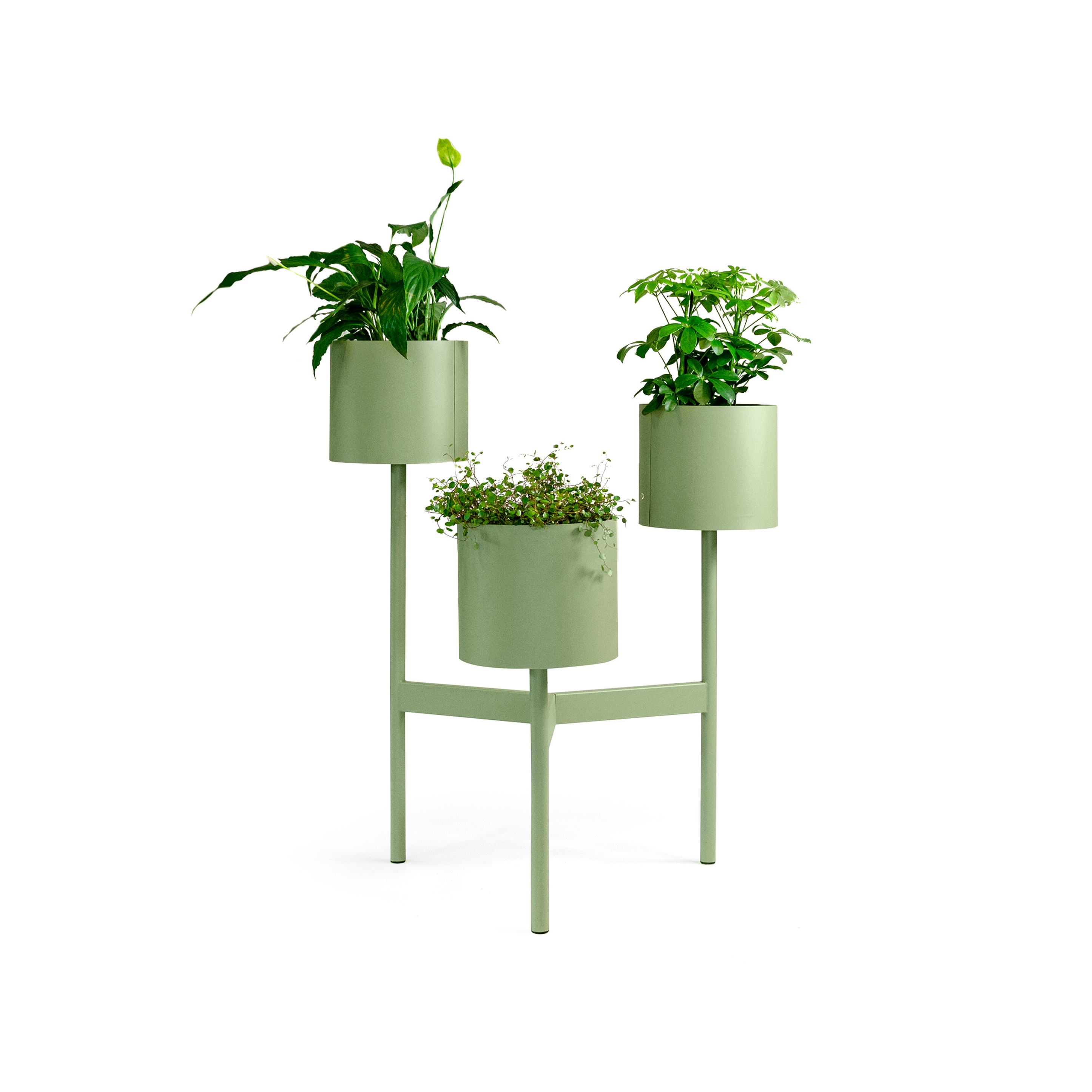 Display product Babylon 105 from manufacturer Johanson Design