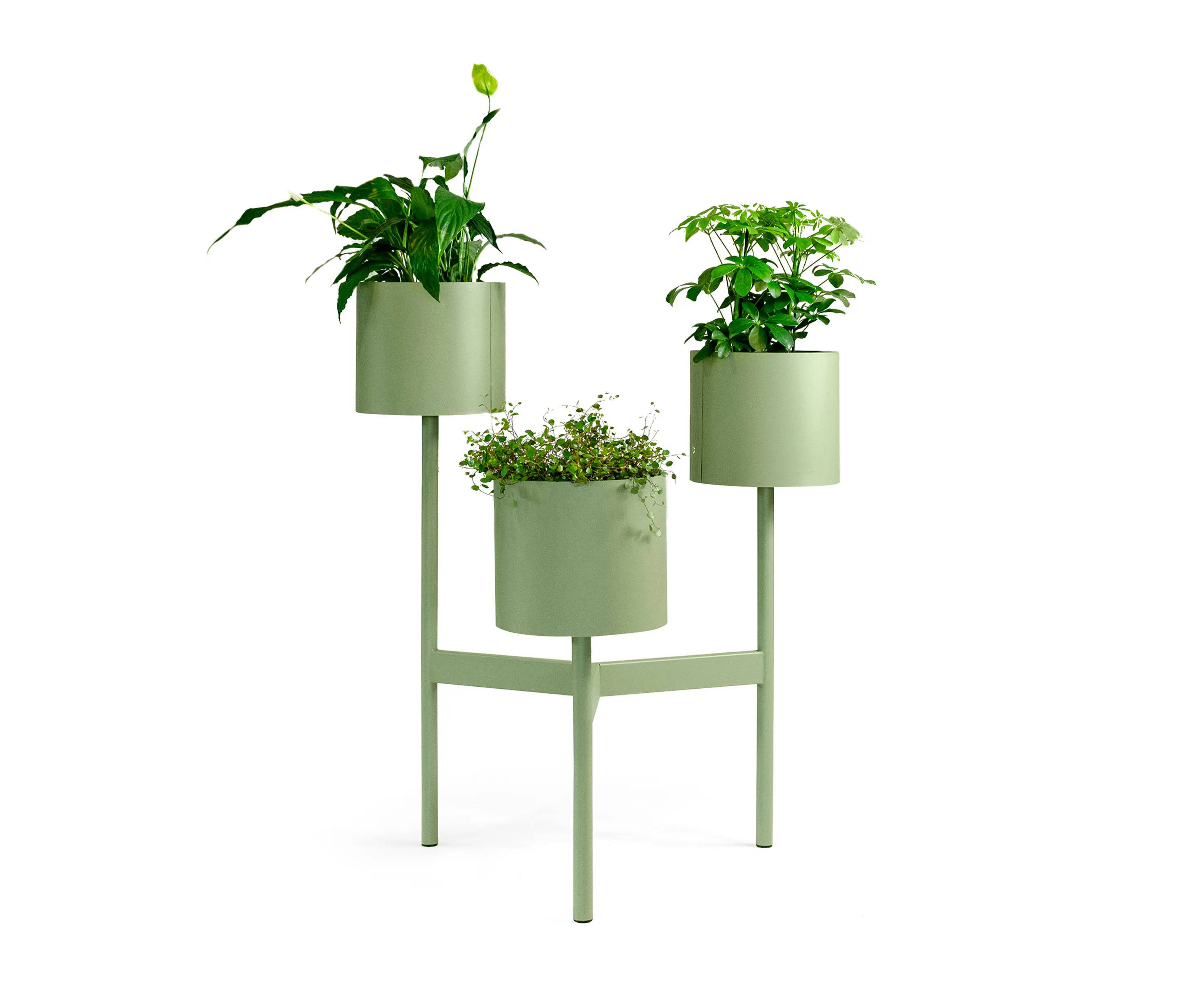 Johanson Design - Babylon 105