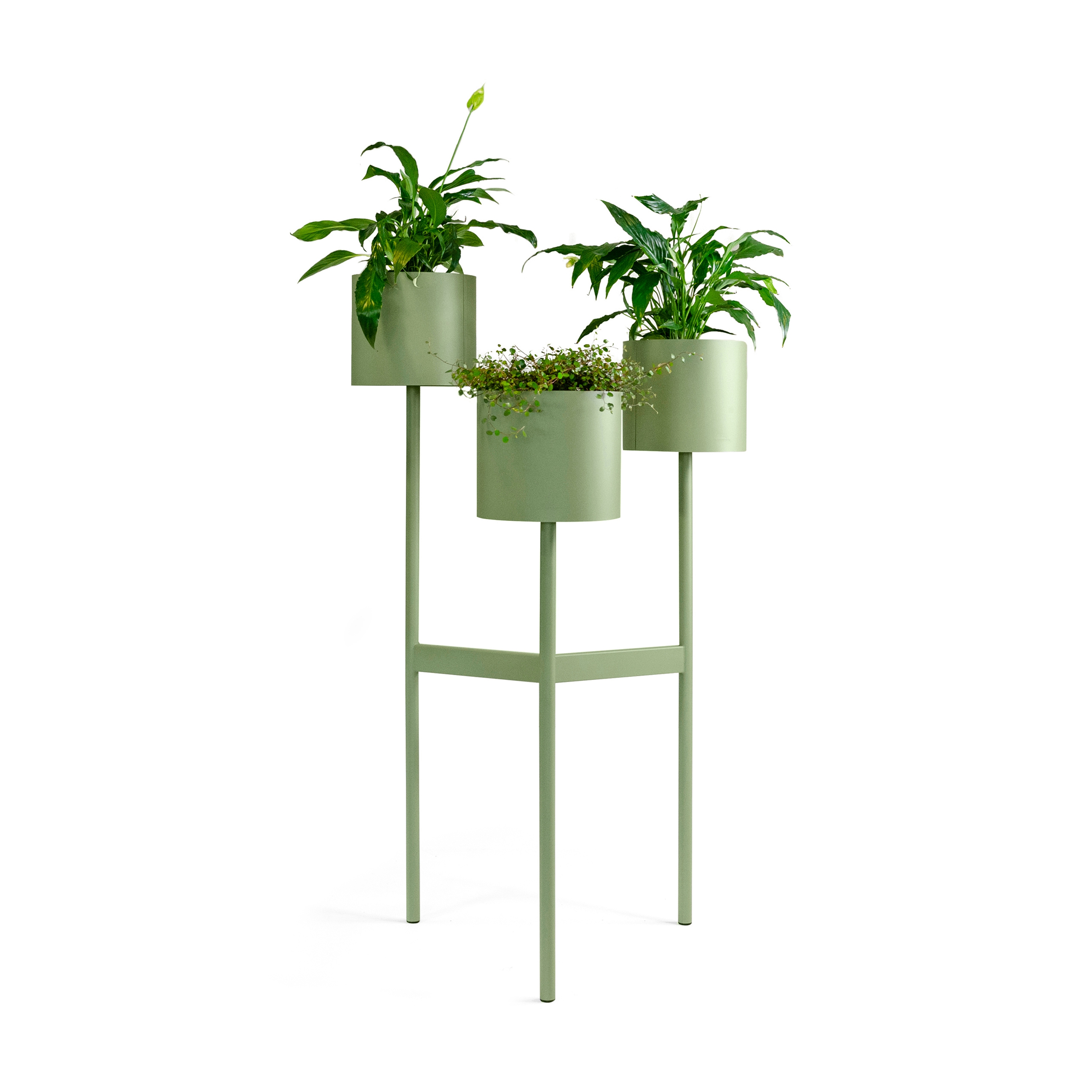 Display product Babylon 143 from manufacturer Johanson Design