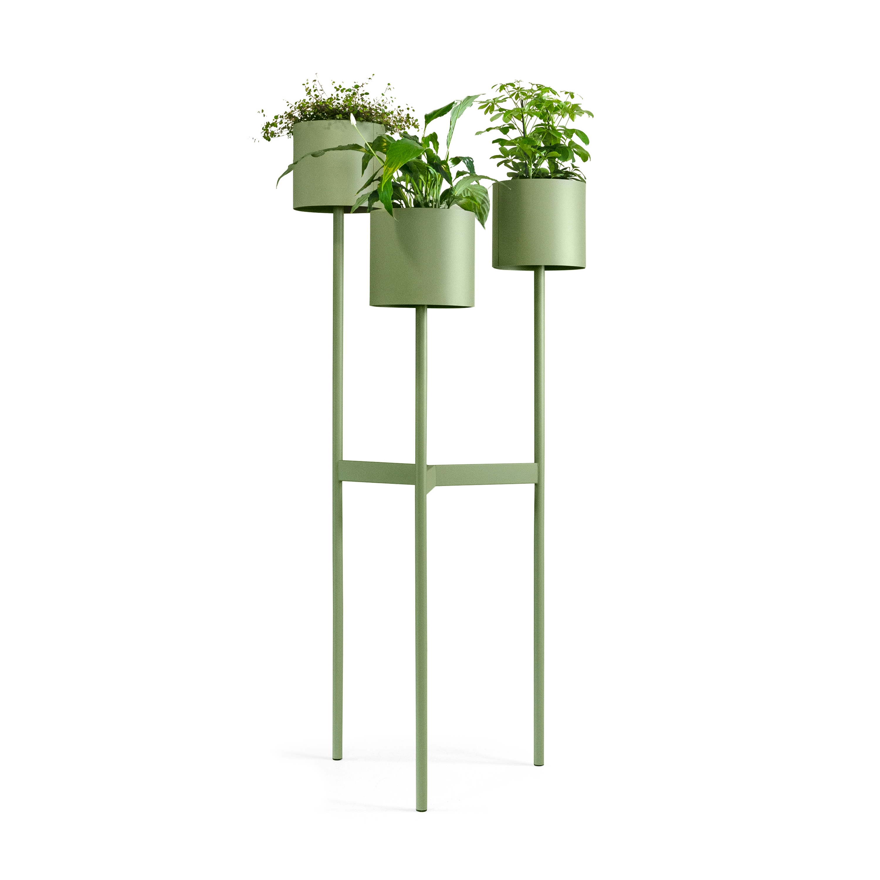 Display product Babylon 181 from manufacturer Johanson Design