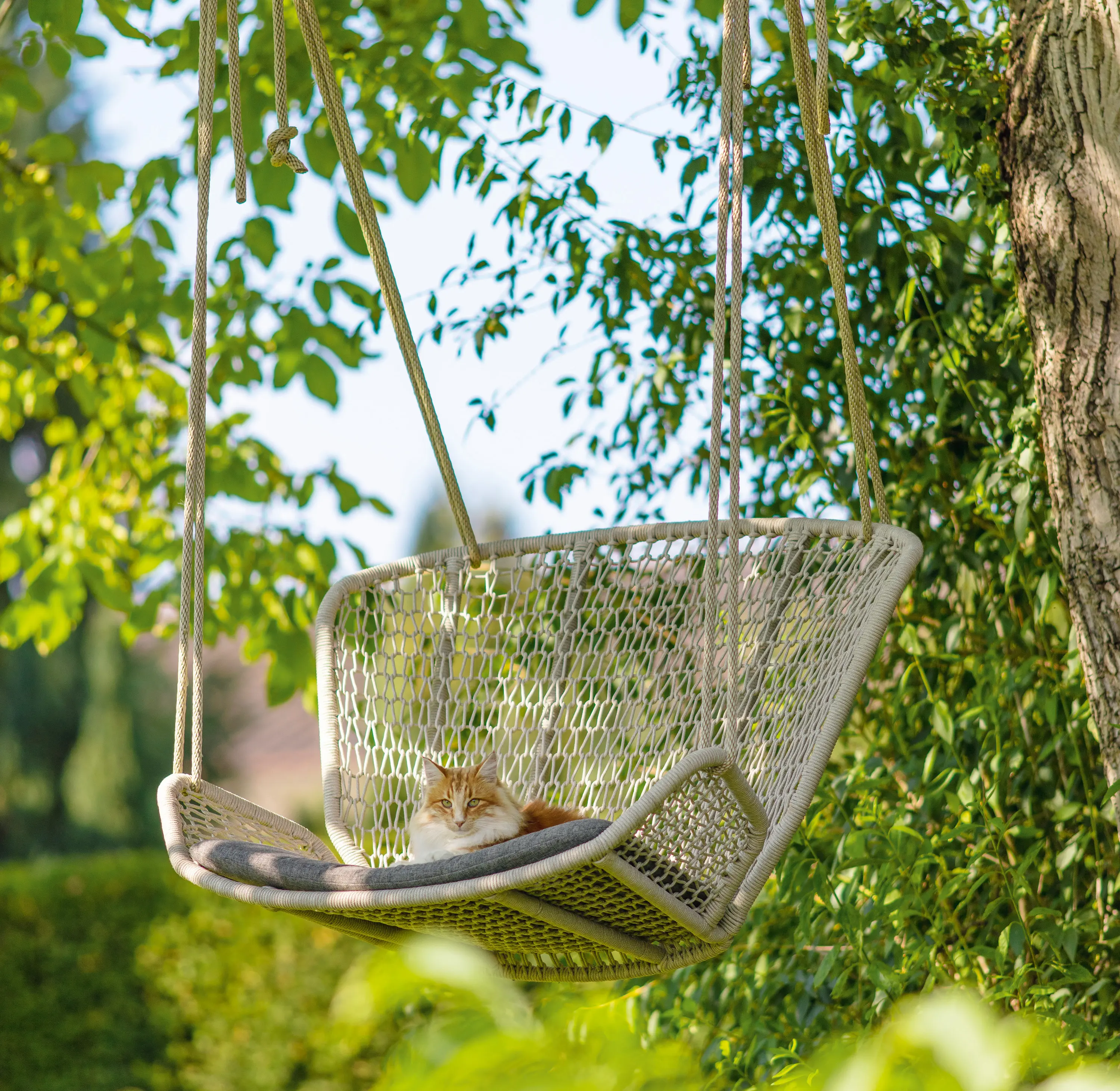 Fischer Möbel - Wing Light Relax Hanging Lounge Chair