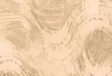 Kamism - KP 1704