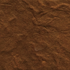 KP 5341