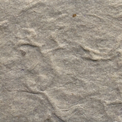 KP 5343