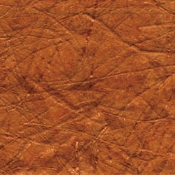 KP 5353