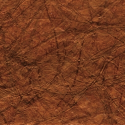 KP 5354
