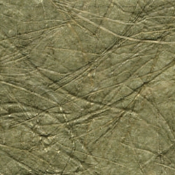 KP 5356