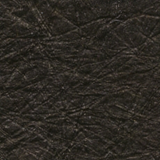 KP 5359
