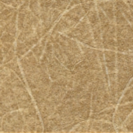 KP 5445
