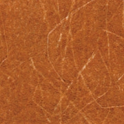 KP 5446