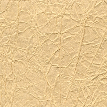 KP 5479
