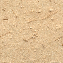 KP 5482