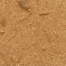 KP 5483